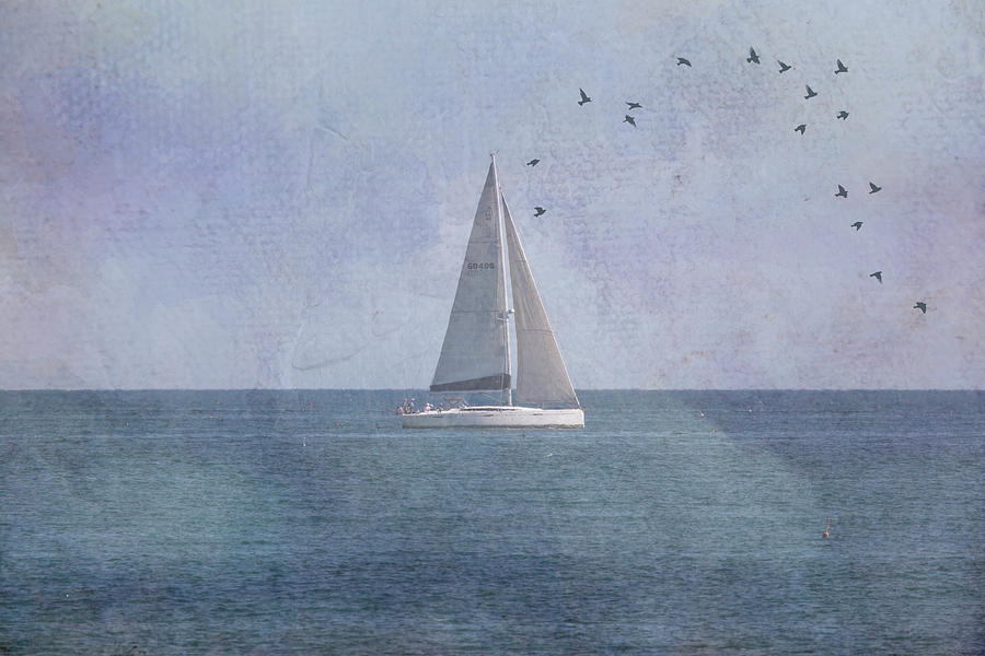 Sailing  #1 Photograph by Betty Pauwels