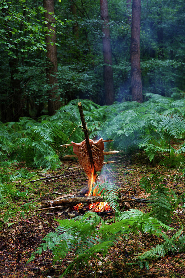 Salmon On Fire In Woods #1 Photograph by Hugh Johnson