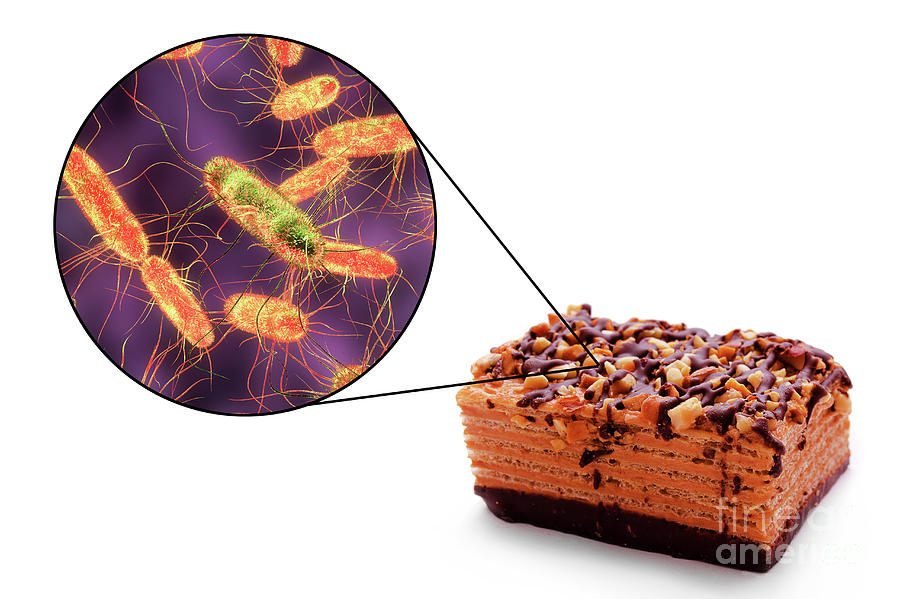 Salmonella Food Poisoning Photograph by Kateryna Kon ...