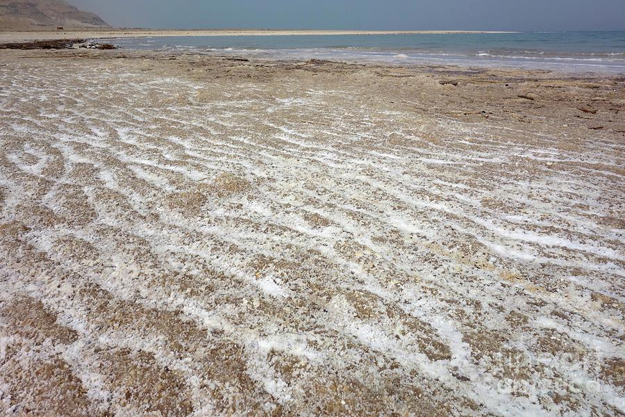 Salt Deposits On The Shore Of The Dead Sea #1 Photograph by Science Photo Library