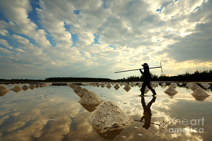 Pile Photograph - Salt Farm In Eastern Thailand by Isarescheewin Pile Photograph - Salt Farm In Eastern Thailand by Isarescheewin