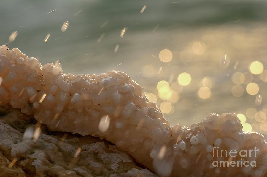 Salt Formation At The Dead Sea #1 Photograph by Photostock-israel/science Photo Library
