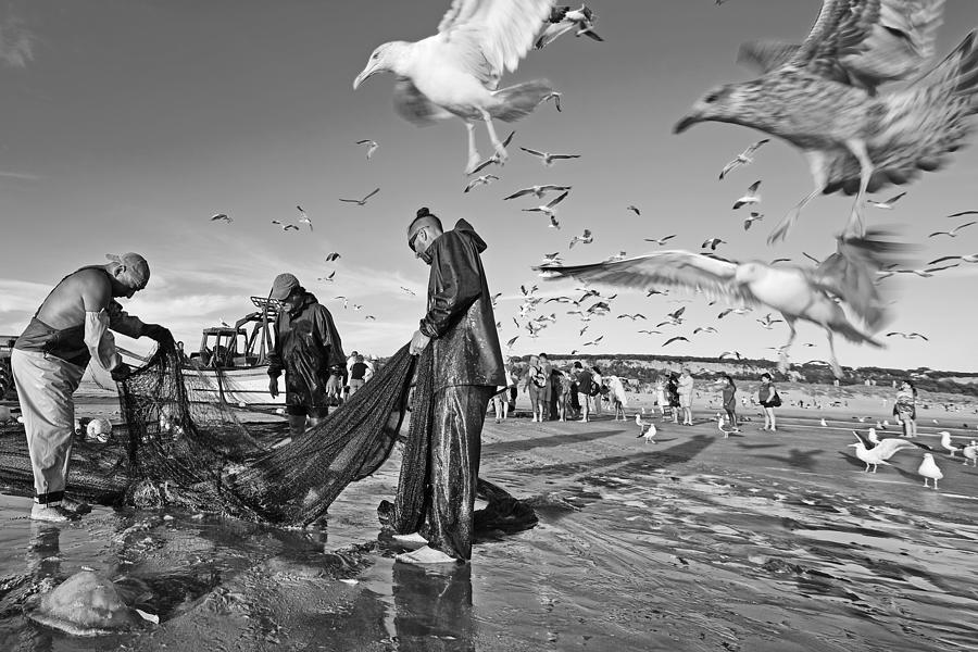 Black And White Photograph - Salt Lives #1 by Josefina Melo
