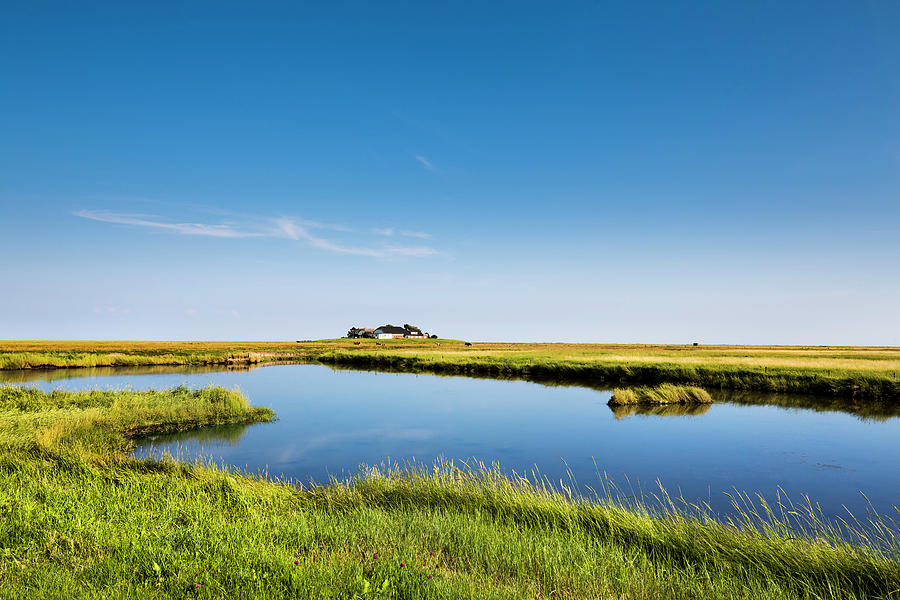 Salt Marsh And Dwelling Mound, Hallig Langeness, North Frisian Islands ...