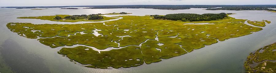 Nature Photograph - Salt Marshes And Estuaries Are Found #1 by Ethan Daniels