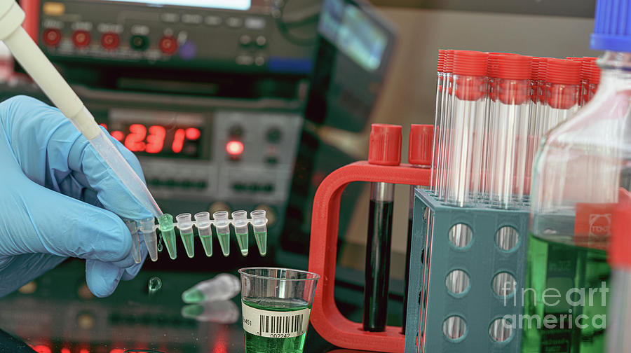 Sample Preparation For Mass Spectrometry Photograph By Wladimir Bulgar ...