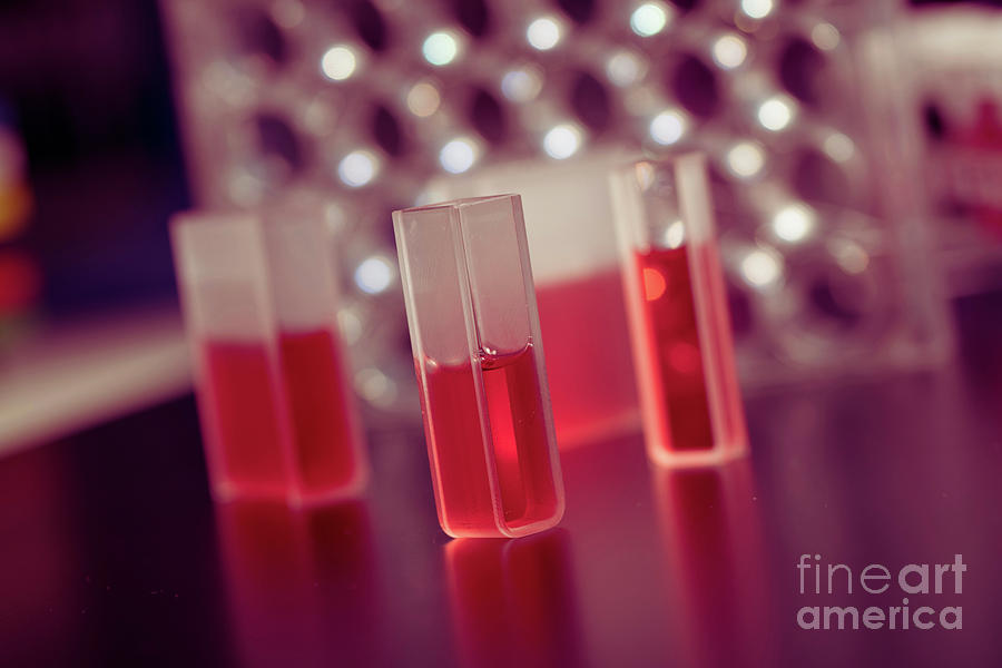 Samples In Quartz Cuvettes Photograph by Wladimir Bulgar/science Photo