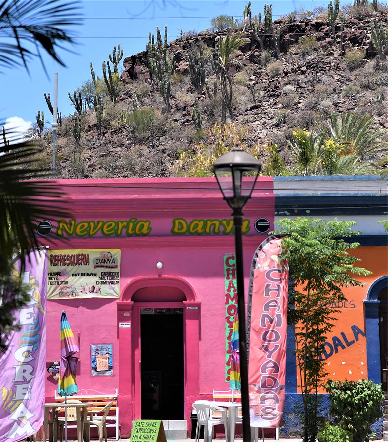 San Ignacio Baja #1 Photograph by Lisa Dunn