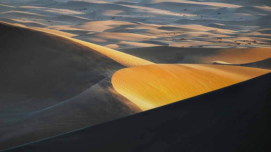 Sand Dunes #1 Photograph by Chuanxu Ren