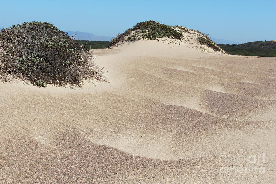 Sand Dunes #1 Photograph by Katherine Erickson