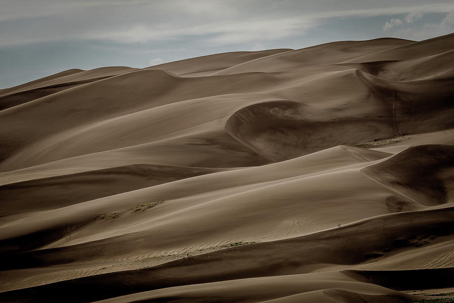 Sand Dunes #1 Photograph by Mati Krimerman