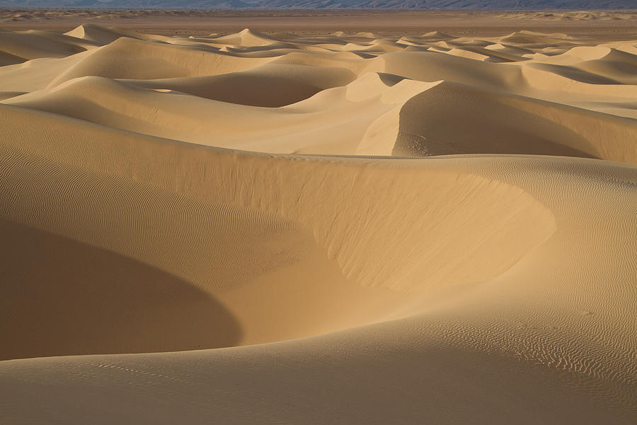 Sand Dunes #1 Photograph by Matteo Allegro