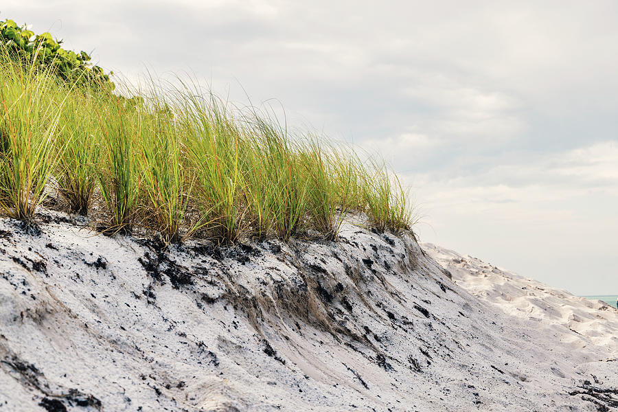 Sand Dunes On The Beach #1 Digital Art by Laura Diez