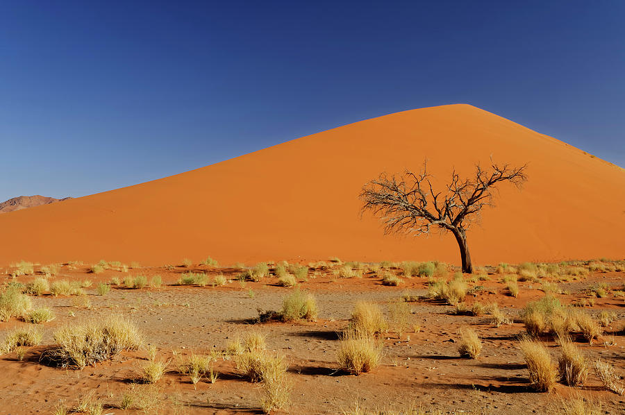 Sand Dunes, Sossusvlei, Namibia #1 Digital Art by Gunter Hartmann