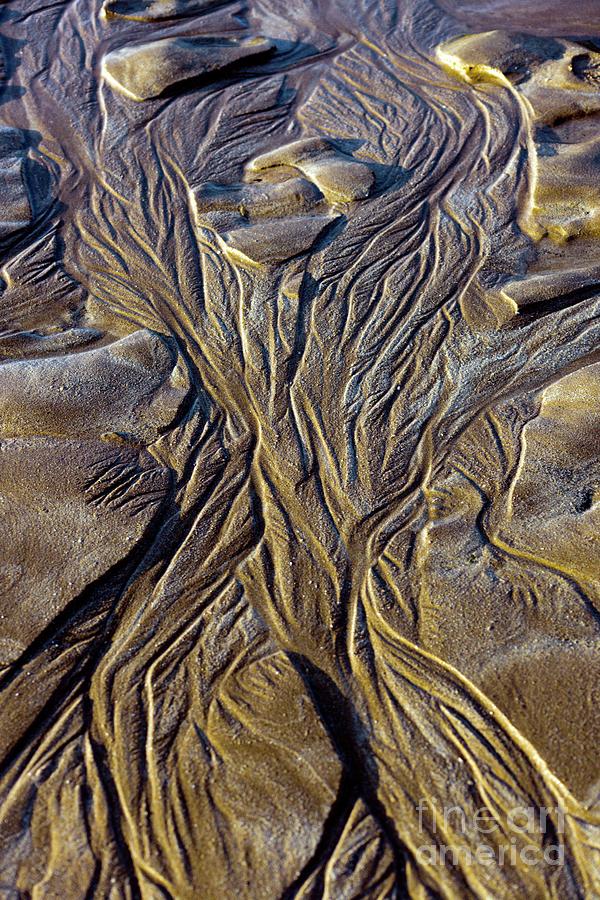 Sand Patterns At Low Tide #1 Photograph by Dr Keith Wheeler/science Photo Library