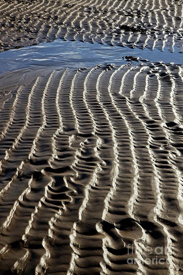 Sand Ripples At Low Tide #1 Photograph by Dr Keith Wheeler/science Photo Library