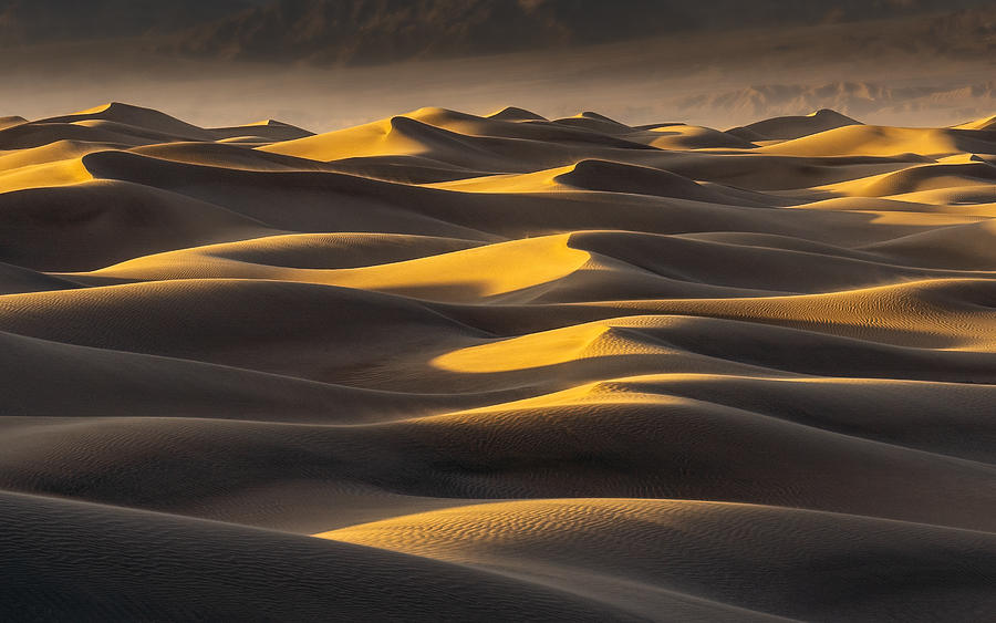 Sand Waves #1 Photograph by Catherine Lu