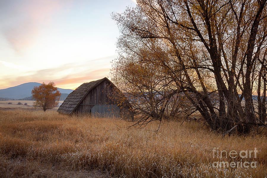 Sanders Barn #1 Photograph by Idaho Scenic Images Linda Lantzy