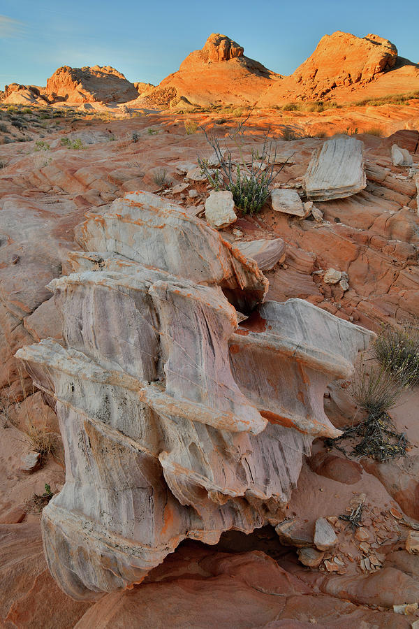 Sandstone Artwork in Valley of Fire #1 Photograph by Ray Mathis