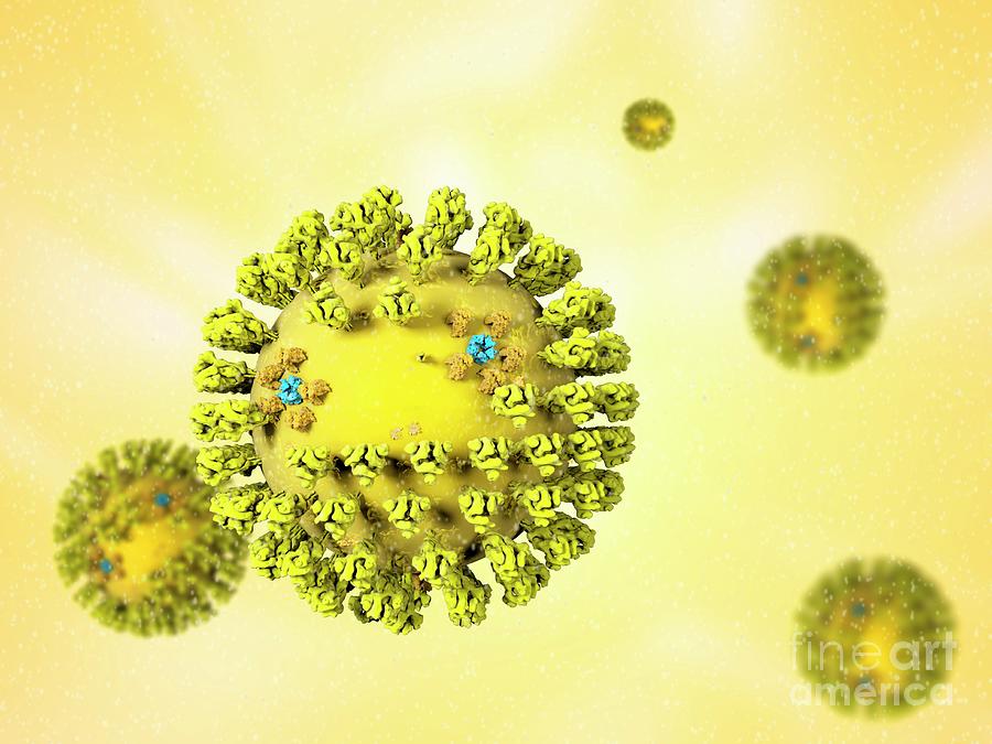Sars Virus Particles Photograph By Ramon Andrade Dciencia Science