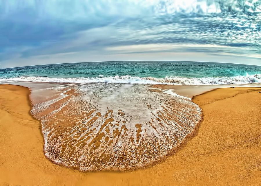 Scallop Shell Wave Photograph by Cordia Murphy