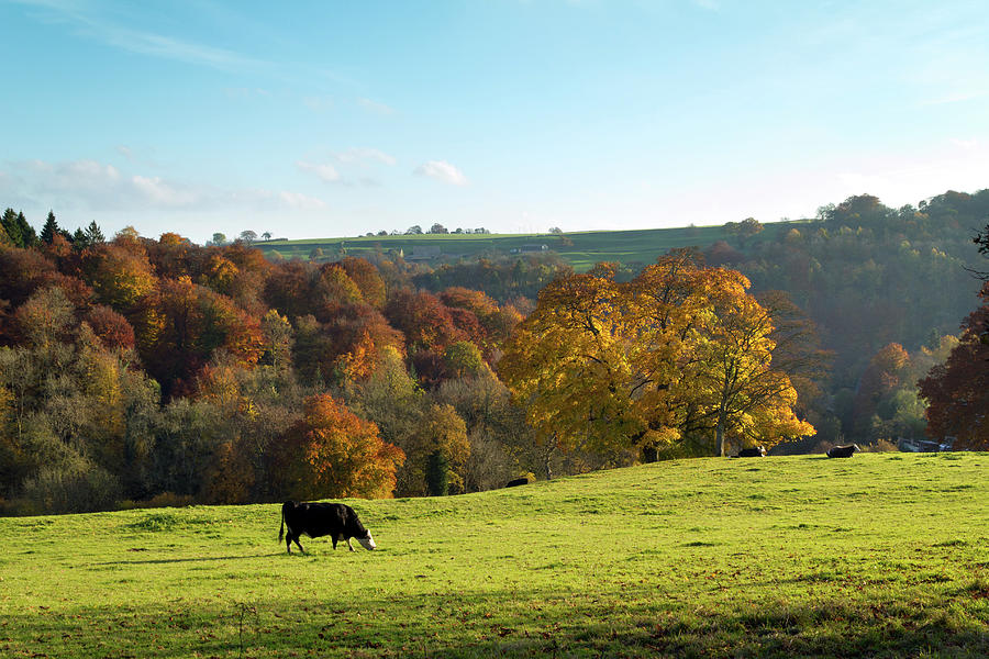 Scenic Cotswolds - Autumn #1 Photograph by Seeables Visual Arts