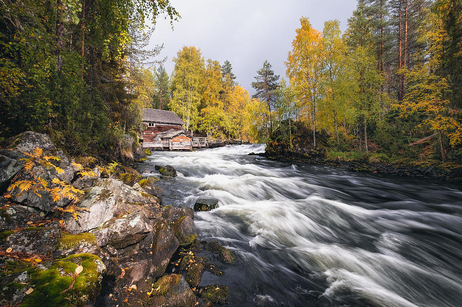 Nature Photograph - Scenic River Landscape With Beautiful #1 by Jani Riekkinen