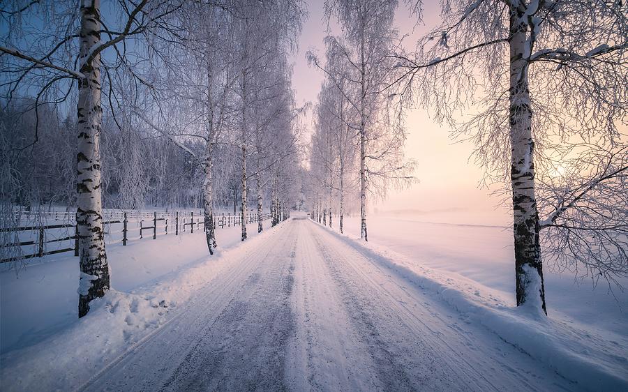 Winter Photograph - Scenic Snow Landscape With Beautiful #1 by Jani Riekkinen