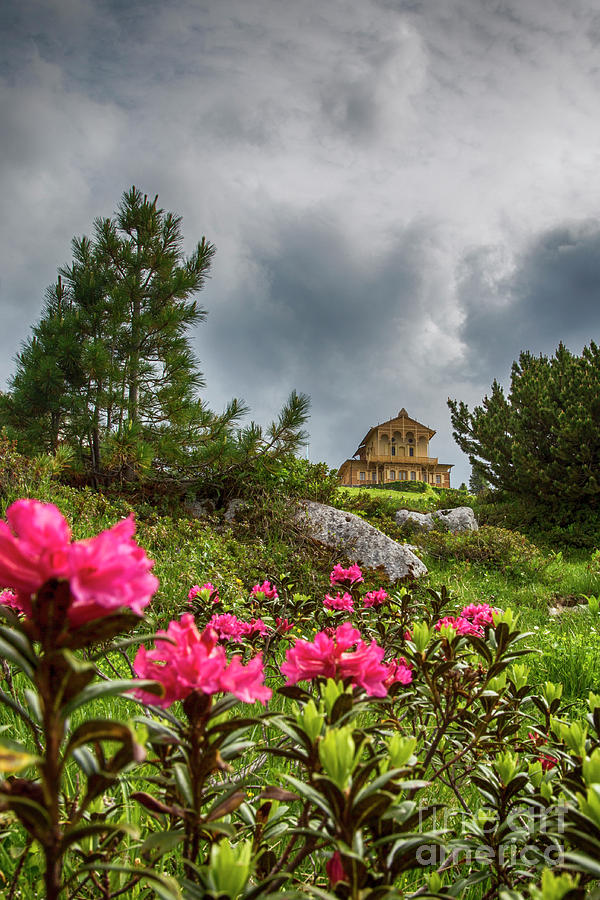 Schachen Castle by Fabian Roessler Schachen Castle by Fabian Roessler