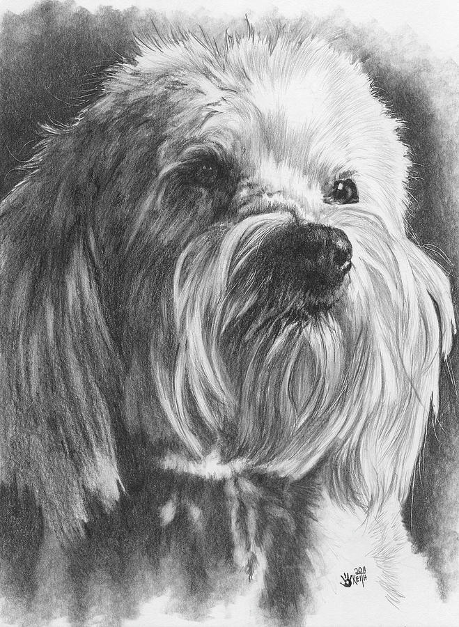 Schnoodle #1 Painting by Barbara Keith