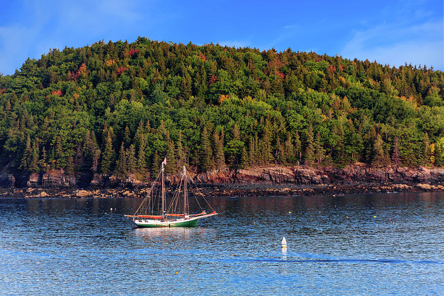Schooner Past Maine Island #1 Photograph by Darryl Brooks