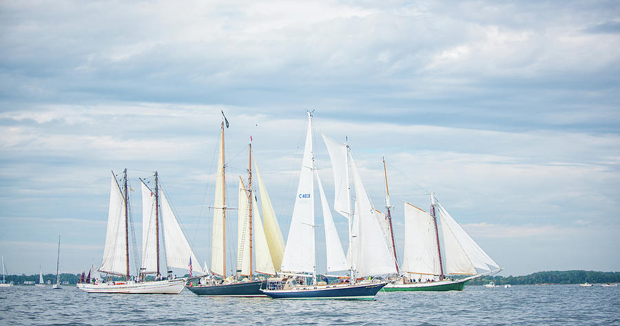 Schooners Racing #1 Photograph by Mark Duehmig