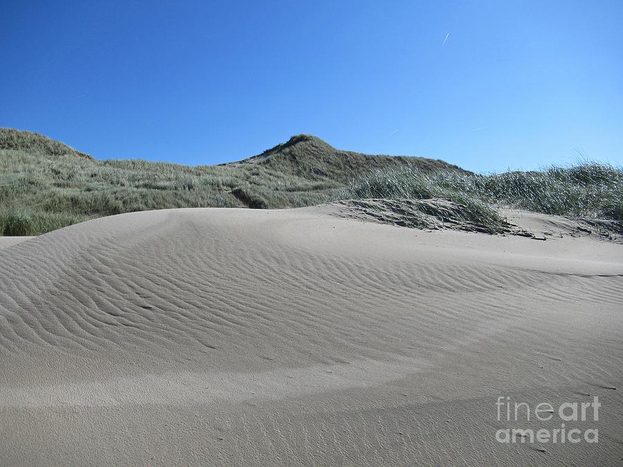 Schoorl dunes #1 Photograph by Chani Demuijlder