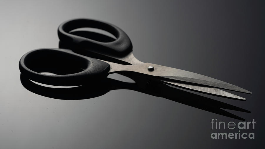 Scissors #1 Photograph by Wladimir Bulgar/science Photo Library
