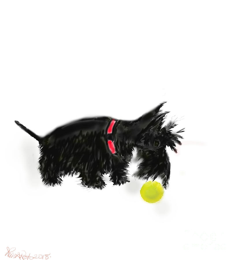 Scottish Terrier by REINA RESTO Scottish Terrier by REINA RESTO