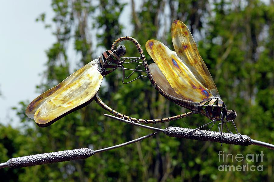 Insects Photograph - Sculpture Of Two Dragonflies #1 by Dr Keith Wheeler/science Photo Library