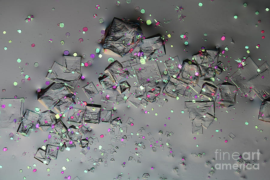 Sodium Chloride Photograph - Sea Salt Crystals #1 by Karl Gaff / Science Photo Library