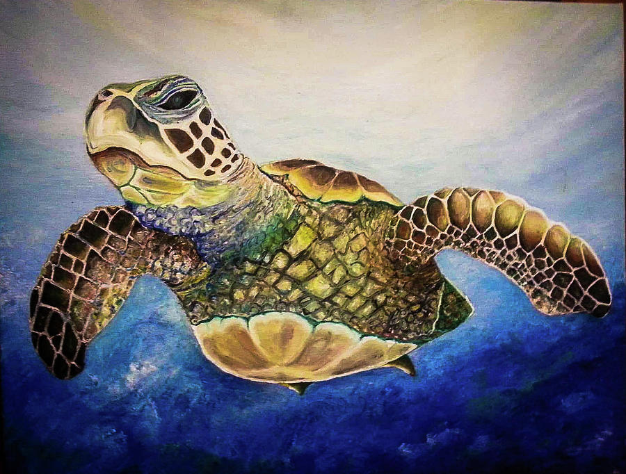 Sea Turtle Painting by Jelena Nikodijevic - Fine Art America