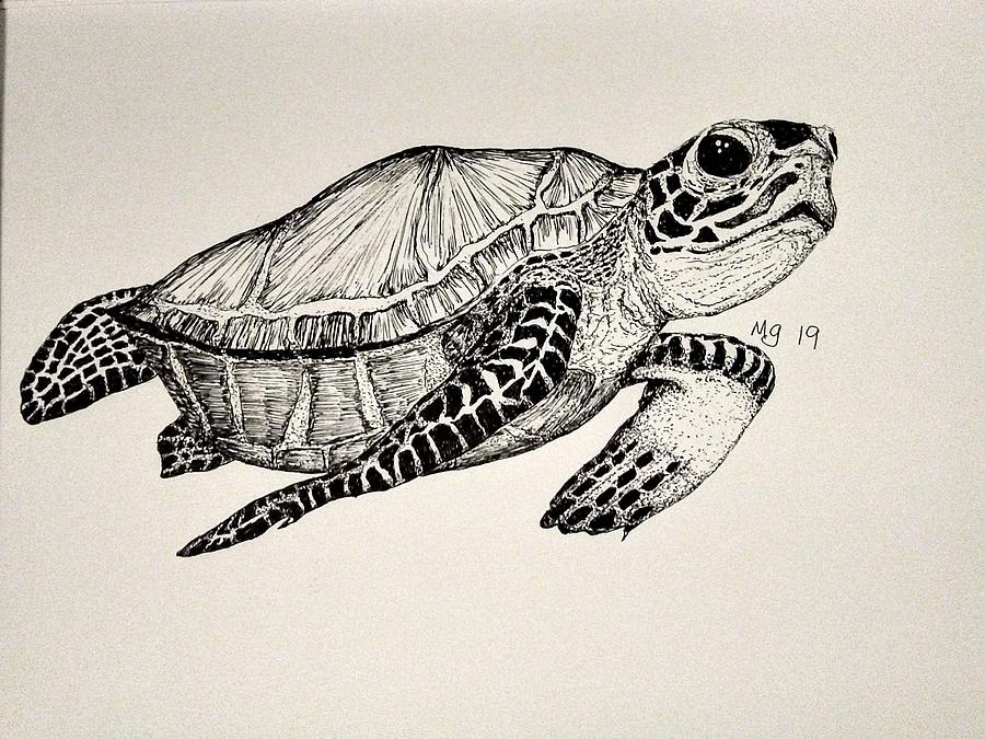 Sea Turtle #1 Drawing by Mindy Gibbs