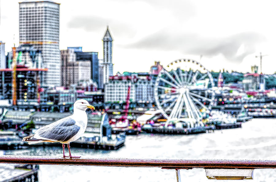 Seagull and Seattle Ferris Wheel #1 Photograph by Darryl Brooks