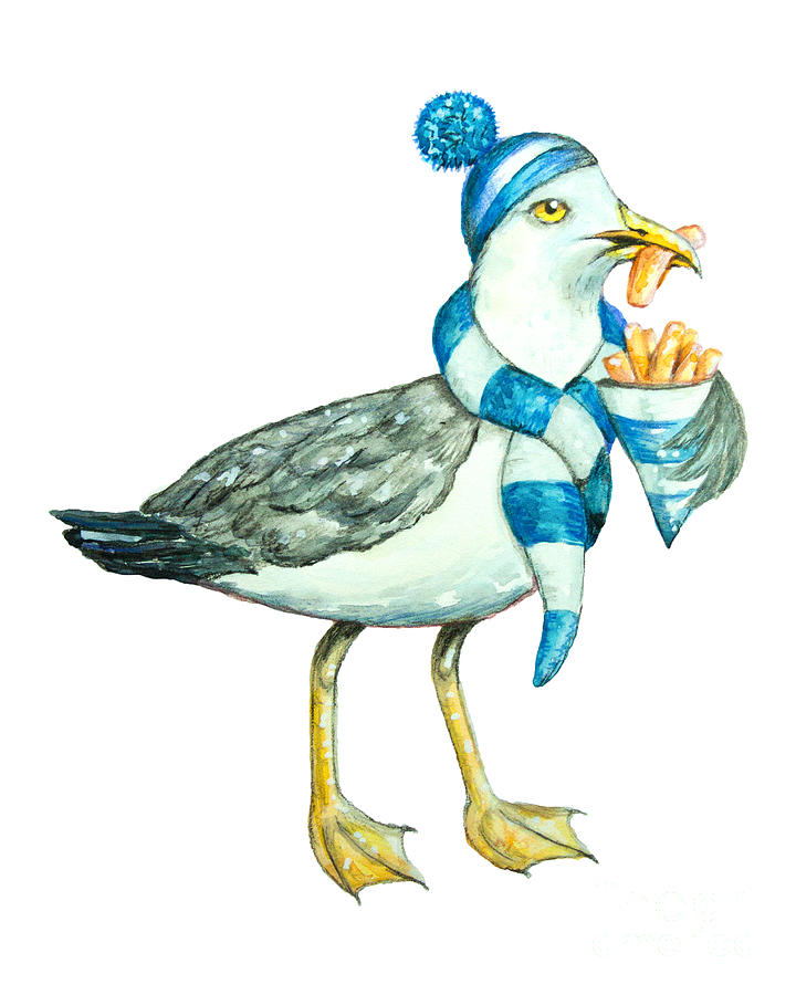 seagull bird clipart painted