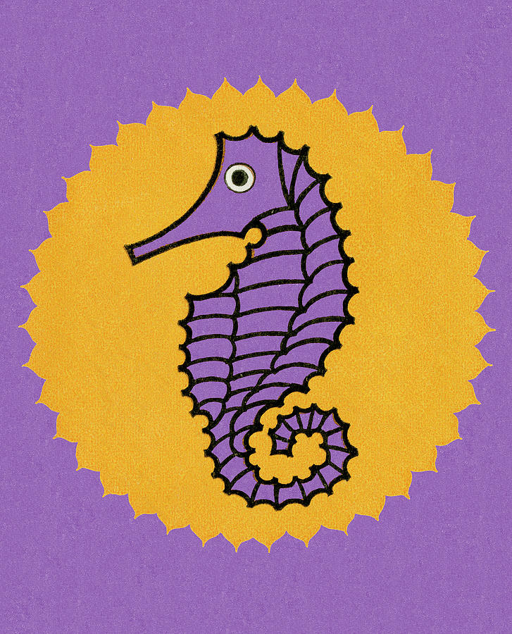 Fish Drawing - Seahorse #1 by CSA Images