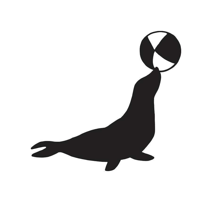 Black And White Drawing - Seal Balancing Ball #1 by CSA Images