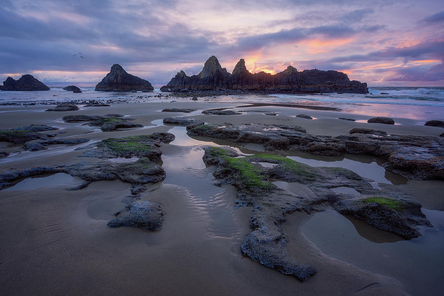 Sunset Photograph - Seal Rock #1 by BJ Stockton