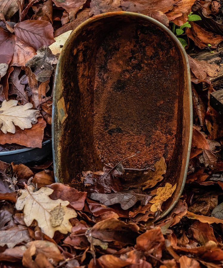 Season Of Decay by Odd Jeppesen Season Of Decay by Odd Jeppesen