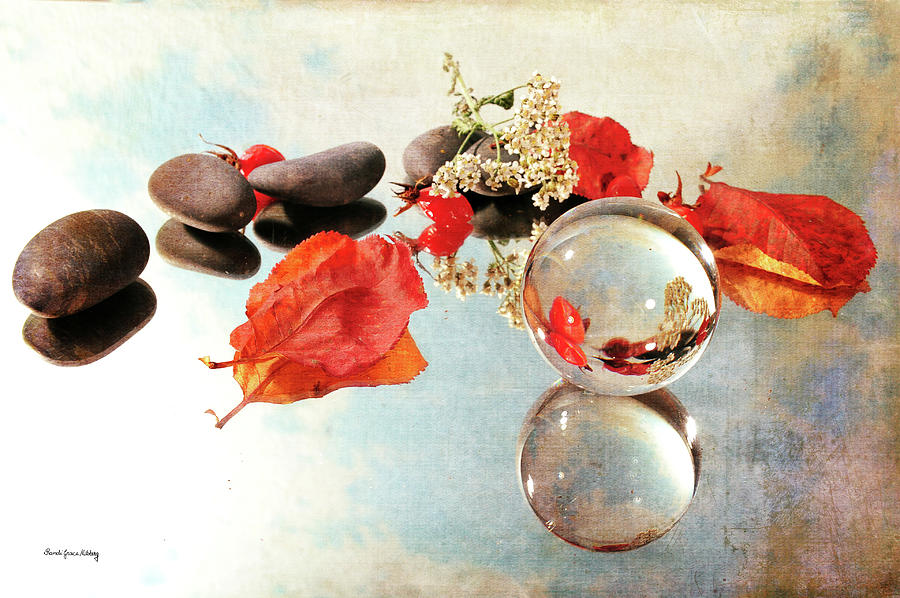Seasons in a Bubble #1 Photograph by Randi Grace Nilsberg