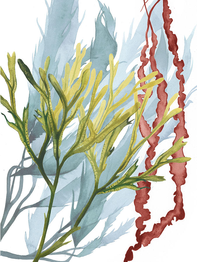 Seaweed Flow II #1 Painting by Grace Popp