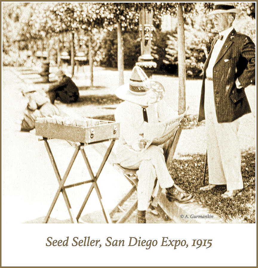 Seed Seller, San Diego Expo, 1915, Vintage Photograph #1 Photograph by A Macarthur Gurmankin