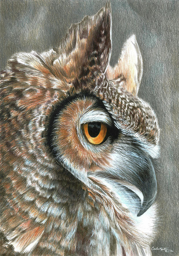 Animal Painting - Sepia Owl #1 by Carla Kurt