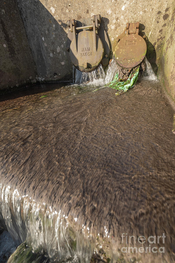 Sewage Fungus Growing At The Outflow Of Treatment Works 1 Photograph